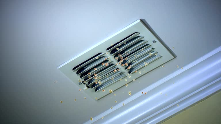 Best Air Duct Cleaning Company Near Me  in Chevy Chase Heights, PA